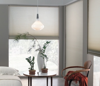 roller shades in Honolulu home